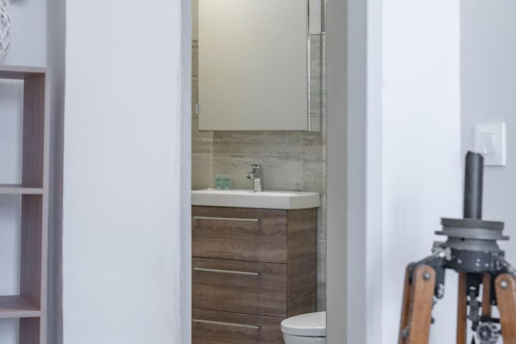 Ferienwohnung Magnolia Magnifique T2 Entierement Renove. Montauban Exterior foto